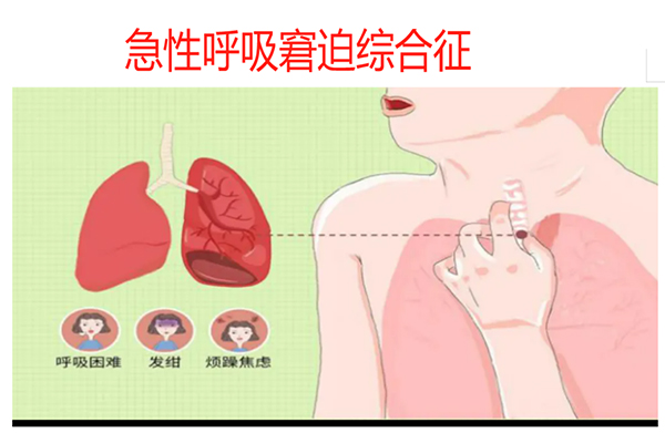 微信图片_2025-08-11_091944_096.jpg 微信图片_2025-08-11_091944_096.jpg