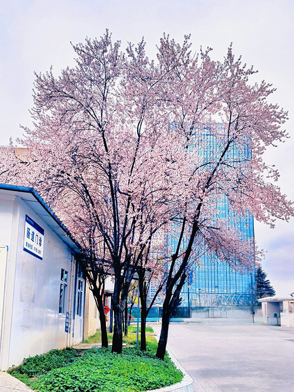 DM_20260408093442_005.jpg